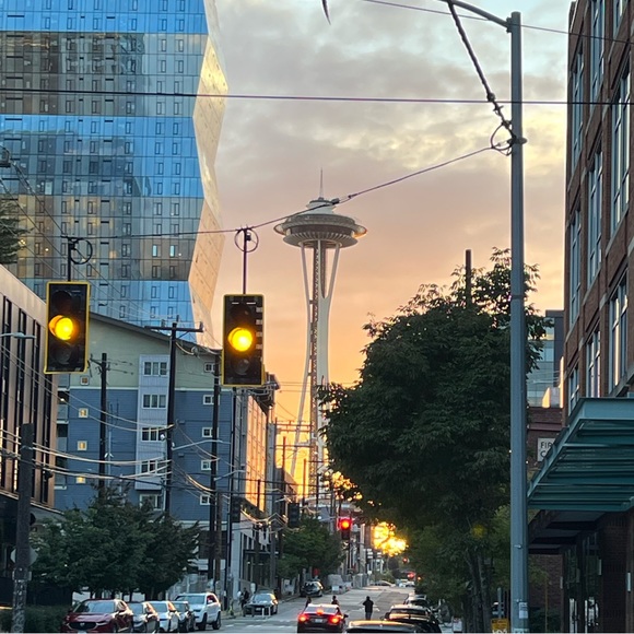 Meet your Posher, Louis - Picture 1 of 1